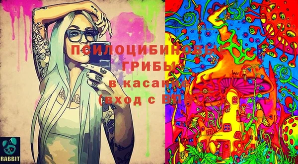 бошки Алексин