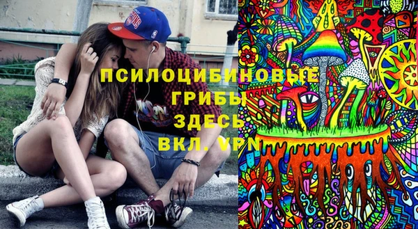 бошки Алексин