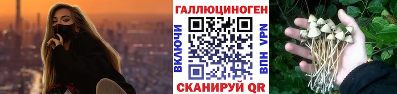 blacksprut   Струнино  Галлюциногенные грибы Magic Shrooms 